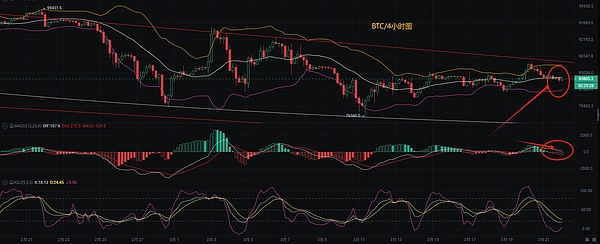 山寨币陷阱防不胜防？老司机教你见招拆招