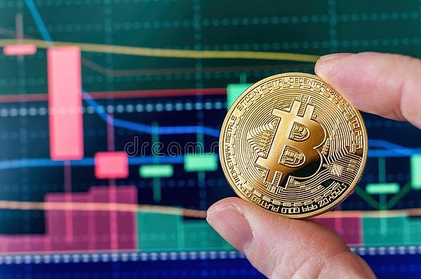 数字资产市场遇冷：狂欢过后的理性回归