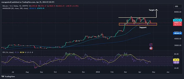 币圈捷报：昨日BTC多单狂揽700点，这份盈利秘诀请收好！