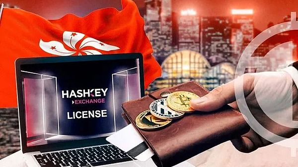 市场回调不必慌：资深投资人的实战观察与应对策略
