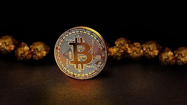 特勤局成Bittrex最大金主？这场加密货币破产案的反转剧情