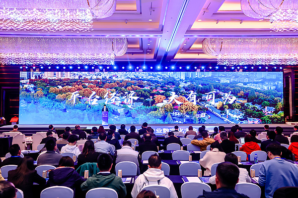 XRP投资时机揭秘：为何现在比上半年更具吸引力？
