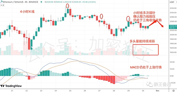 熊市中的逆袭者：波场生态的韧性成长记