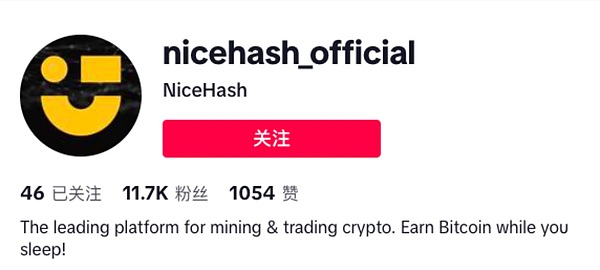 一只鹅引发的数字收藏狂潮？超维空间这次真的玩大了！
